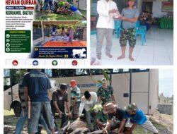 Peringatan Hari Raya Idul Adha 1446 H/2026M, Koramil 1308–03/Batui Laksanakan Pemotongan Hewan Kurban