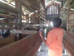 Babinsa Komsos Dengan Peternak Kambing Desa Binaan