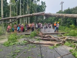 Akses Jalan Lumpuh, Polisi dan Warga Kompak Evakuasi Pohon-Tiang Listrik Roboh