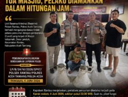 Gerak Cepat Polsek Rantau, Pencuri Toa Masjid Diringkus dalam Hitungan Jam