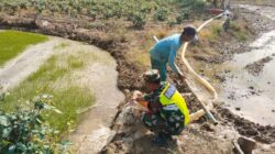 Melalui Mesin Pompa Air, Babinsa Bantu Petani Mengairi Sawah