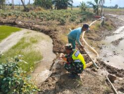 Melalui Mesin Pompa Air, Babinsa Bantu Petani Mengairi Sawah
