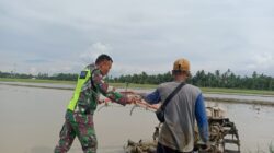 Babinsa Bukan Hanya Jaga Negeri, Membajak Sawah Pun Jadi Bukti Kepedulian