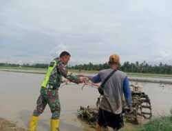 Babinsa Bukan Hanya Jaga Negeri, Membajak Sawah Pun Jadi Bukti Kepedulian