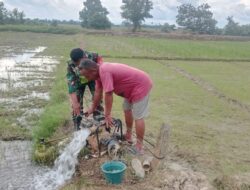 Melalui Mesin Pompa Air, Babinsa Suka Jadi Bantu Petani Mengairi Sawah