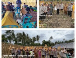 Danramil 03/Batui Hadiri Panen Raya Jagung dalam Rangka Swasembada Pangan Polres Banggai