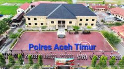 Perkembangan Penanganan Kasus Video Viral Dugaan Penganiayaan Anak di Idi Tunong, Polisi Jelaskan Alasan Belum Menahan Tersangka