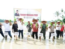 Sinergi Pasca-Bencana, Bupati Aceh Tamiang Siap Perkuat Ketahanan Pangan dan Bangkitkan Petani