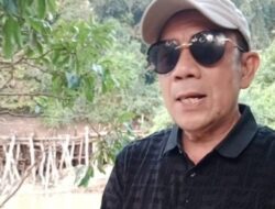 Dugaan Limbah dan Setrum Ikan Dikeluhkan Nelayan, IWO Minta APH Bertindak Tegas
