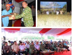 Danrem 132/Tadulako Bersama Pangdam XXIII/Palakawira Hadiri Panen Raya TNI, Perkuat Ketahanan Pangan Nasional
