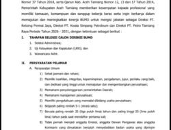 Pemkab Aceh Tamiang Buka Seleksi Calon Direksi BUMD,Profesional Berintegritas Dipersilahkan Mendaftar