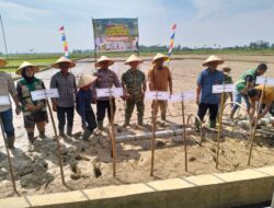 Polsek karang baru monitor kegiatan tanam padi serempak brigadir pangan di kampung sukajadi paya bujok