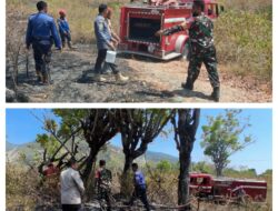 Sinergi Tiga Pilar TNI, Polri Dan Kelurahan Buluri Respon Cepat Padamkan Kebakaran Lahan Kosong
