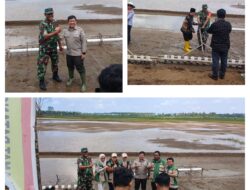 Danramil 03/Batui Dampingi Kunjungan Dirjen Perlindungan dan Optimasi Lahan Kementerian Pertanian Program Syukuran Tanam Perdana