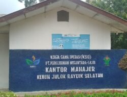 Kasus “Sawit Kencing” Dicabut, Penjelasan Pelapor Karyawan PTPN Julok Rayeuk Selatan Timbulkan Tanda Tanya