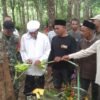 13 Tahun Menanti, Kebun Karet Seunebok Dalam Siap Mensejahterakan Warga
