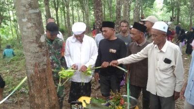 13 Tahun Menanti, Kebun Karet Seunebok Dalam Siap Mensejahterakan Warga