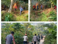 Kebakaran Lahan Sagu di Pomayagon Buol, Personel TNI, Kepolisian Bersama Damkar dan Warga Berjibaku Padamkan Api