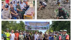 Menjelang HUT ke-81 TNI, Koramil 1308–07/Pagimana Tanam Mangrove Di Pantai Desa Lambangan
