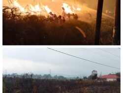 TNI, Polri dan Warga Padamkan Karhutla di Pendolo, 14 Hektare Lahan Kosong Terbakar
