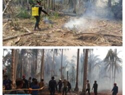 TNI Bersama Tim Gabungan Padamkan Kebakaran Lahan Kelapa dan Sagu di Buol