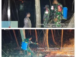 TNI Bersama Tim Gabungan Padamkan Kebakaran Lahan Jati di Simuntu Tolitoli