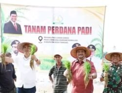 Bupati Aceh Tamiang Targetkan 6.240 Hektare Sawah Terdampak Bencana Siap Tanam November 2026