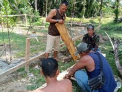 Hibah 28 Ekor Kambing Dorong Ekonomi Warga, Kelompok Tani Paluh Pasir Bersatu Perkuat Pelestarian Mangrove