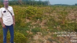 FMPT Desak APH Usut Raibnya Eskavator, Dugaan Perambahan Mangrove Diminta di Tindak Tegas