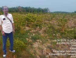FMPT Desak APH Usut Raibnya Eskavator, Dugaan Perambahan Mangrove Diminta di Tindak Tegas