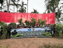 Pemberantasan Narkotika Dari Hulu, DITRESNARKOBA Polda Aceh Bersama BNNP dan Polres Lhokseumawe Musnahkan 18 Hektar Ladang Ganja