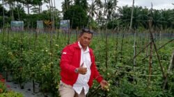 Dukung Keberlanjutan Program PSR, D. Yogi S Dorong Pemerintah Perluas Peremajaan Tanaman Rakyat, Tak Hanya Sawit