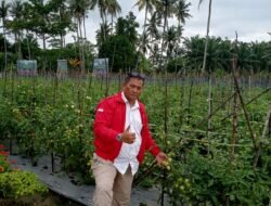 Dukung Keberlanjutan Program PSR, D. Yogi S Dorong Pemerintah Perluas Peremajaan Tanaman Rakyat, Tak Hanya Sawit