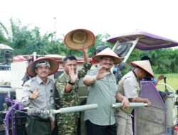 Sinergi Lintas Sektor, Aceh Tamiang Bangkitkan Kembali Lumbung Pangan Pascabencana