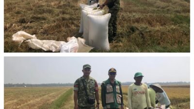 Pendampingan Sergab Babinsa Koramil 03/Batui Bersama Petugas PPL  di Desa Argomulyo
